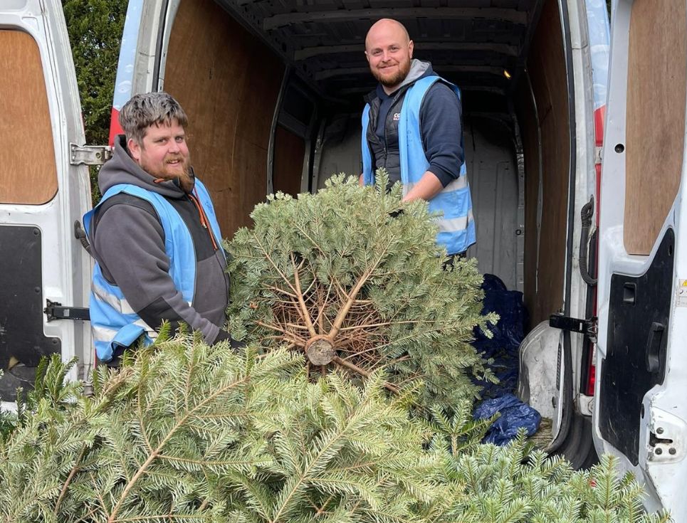 Two people wearing blue high-vis jackets and warm clothes load large Christmas trees into a van.
