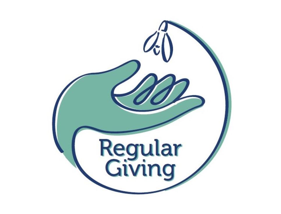 A green hand graphic, holding a white snowdrop. Beneath it is the wording Regular Giving.