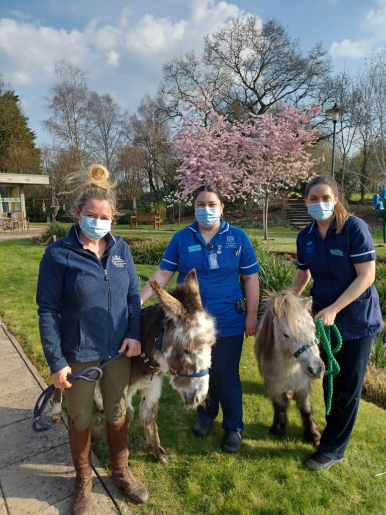 Three people stand together in the gardens at St Richard's Hospice with a miniature donkey and miniature pony.