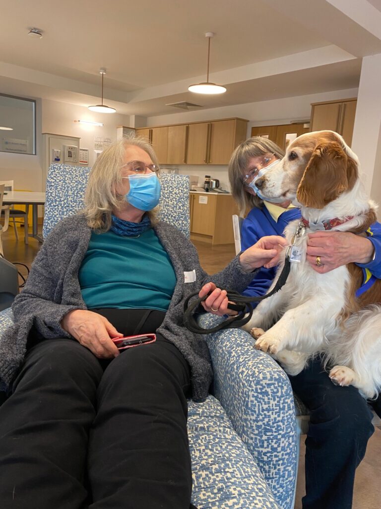 Pam meets a brown and white spaniel, who's held by her owner, Maureen, who's wearing a blue jumper.
