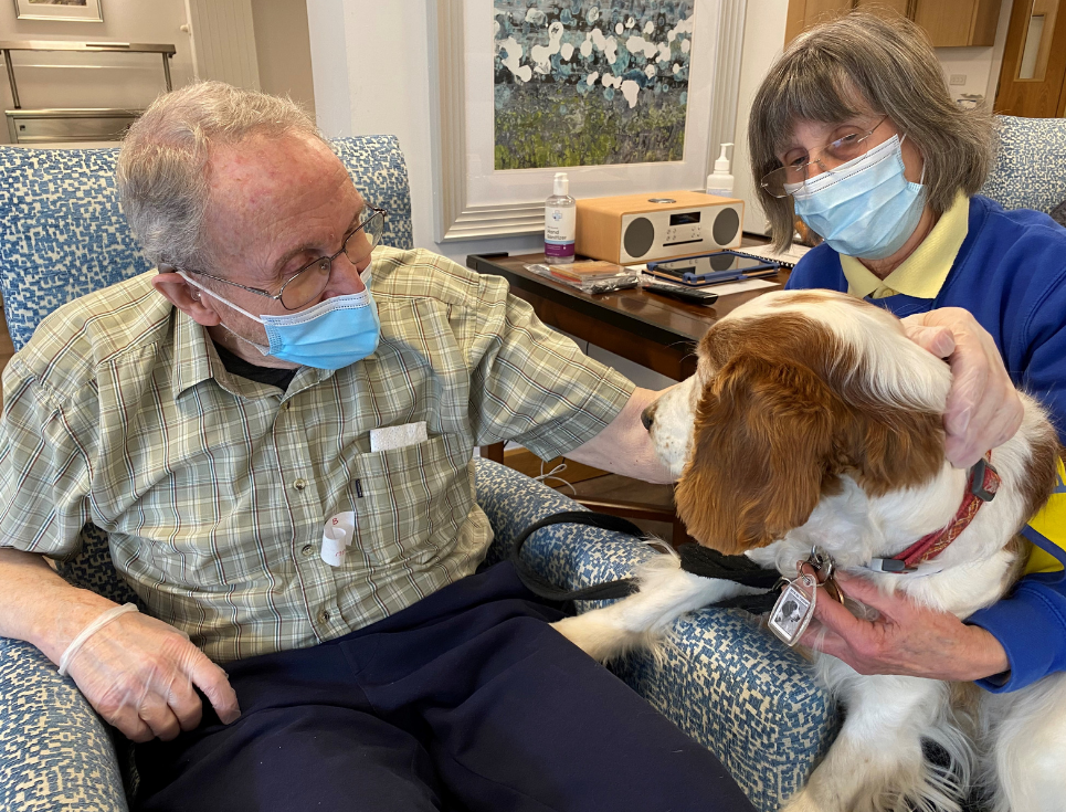 Ron, who is sitting in an arm chair in the hospice's Living Well Centre, strokes a tan and white springer spaniel who is being held by her owner.