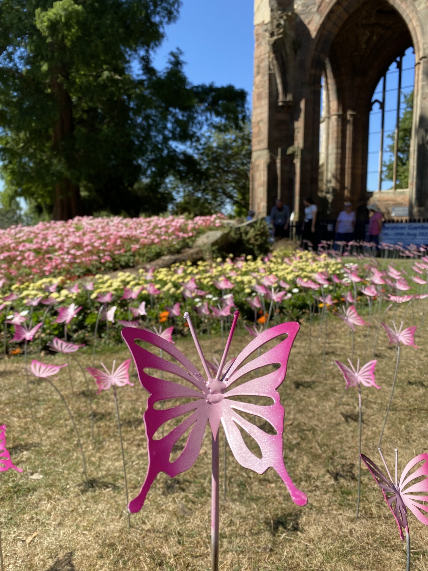 Pink butterfly sculptures on display in the flower beds in front of St Andrew's Spire, Worcester
