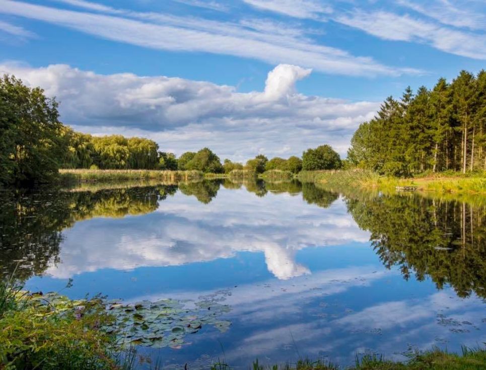 A lake bordered with green trees reflecting a blue sky with clouds.