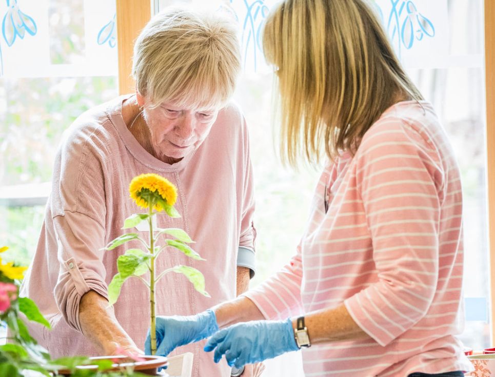 Two people wearing pink jumpers tend to a vibrant yellow sunflower in the hospice's Living Well Centre.