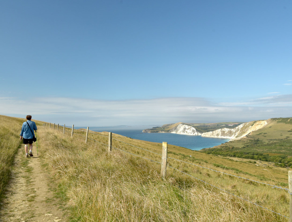 A man walking through a field next to the Jurassic coast on a sunny day, with blue sky and blue sea.