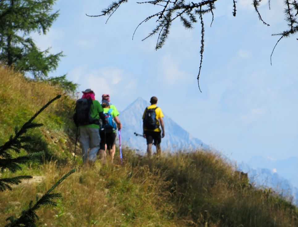 A group of walkers tackling the Alps