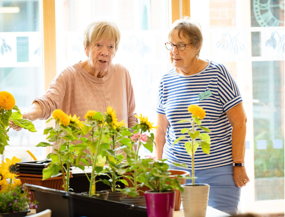 Two people, a patient and a Living Well volunteer, stand together by a table full of sunflowers in pots.
