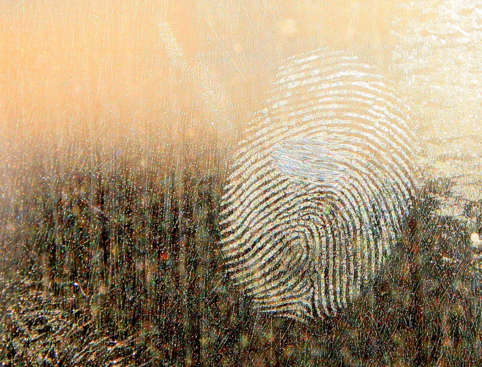 A singular fingerprint on a glass window pane